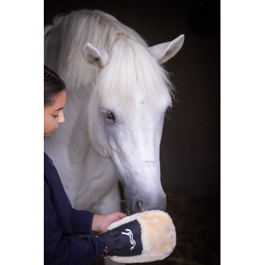 Putzhandschuh Pénélope Schwarz Putzhandschuh Pénélope Schwarz