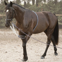 Hilfszügel Soft Rope Canter Marine / Weiß Blau Hilfszügel Soft Rope Canter Marine / Weiß Blau