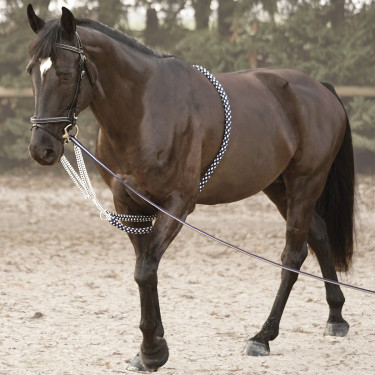 Hilfszügel Soft Rope Canter Hilfszügel Soft Rope Canter