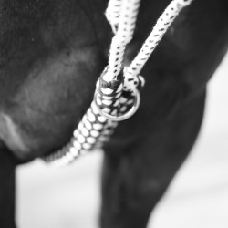 Hilfszügel Soft Rope Canter Hilfszügel Soft Rope Canter