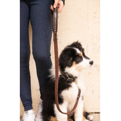 Lass los Hund Pénélope Rubber Havanna Braun