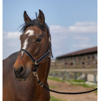 Halfter Equithème Nylon Light Marineblau