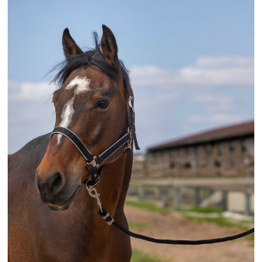 Halfter Equithème Nylon Light Schwarz