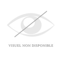 Montant de bride Privilege Equitation Noir