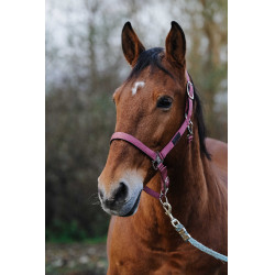 Nylonhalfter Spring Equithème Pink Rosa