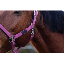 Nylonhalfter Spring Equithème Pink Rosa