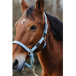 Nylonhalfter Spring Equithème Türkis Blau Nylonhalfter Spring Equithème Türkis Blau