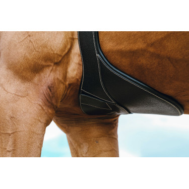 Gurt mit Magnetbauchlatz Norton Schwarz