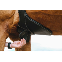 Gurt mit Magnetbauchlatz Norton Schwarz