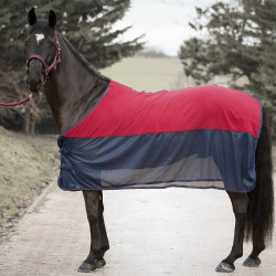 Halfter-, Führstrick- und Abschwitzshirt-Set Canter