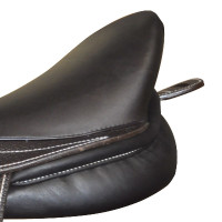 T der Croupière Canter