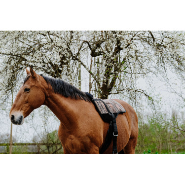 Reitpad Norton Kiowa