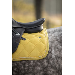 Satteldecke Lami-Cell Luxor Gold