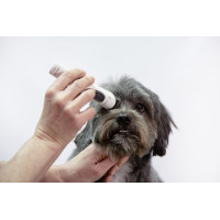 Kabellose Aesculap Exacta...