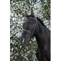 Bridon Riding World Französischer Nasenriemen Schwarz
