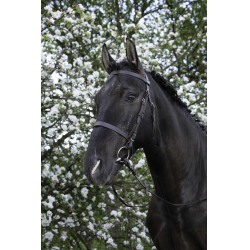 Bridon Riding World Französischer Nasenriemen Havanna Braun