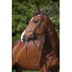 Bridon Riding World Französischer Nasenriemen Havanna Braun