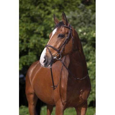 Bridon Riding World Kombinierter Nasenriemen Havanna Braun Bridon Riding World Kombinierter Nasenriemen Havanna Braun