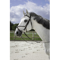 Bridon Riding World Kreuzzaum Schwarz