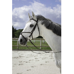 Bridon Riding World Kreuzzaum Havanna Braun