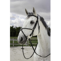 Bridon Riding World Kreuzzaum Schwarz