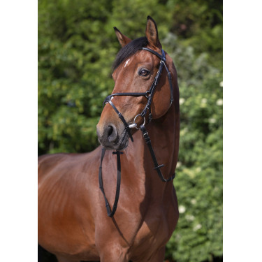 Bridon Riding World Kreuzzaum Schwarz