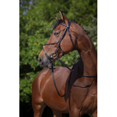Bridon Riding World Kreuzzaum Schwarz