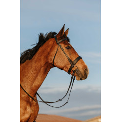 Trense Riding World Breites Nasenband Schwarz