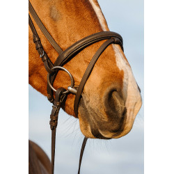 Bridon Riding World kombiniertes Reithalfter doppelt Havanna Braun