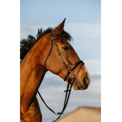 Bridon Riding World kombiniertes Reithalfter doppelt Schwarz