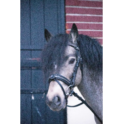 Trense Pénélope Eden Schwarz