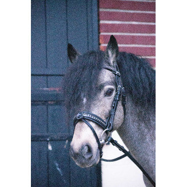 Trense Pénélope Eden Schwarz