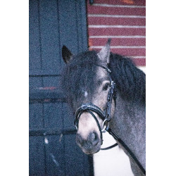 Trense Pénélope Eden Schwarz