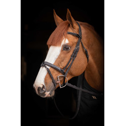 Birdon Oxford Performance Pénélope Schwarz Birdon Oxford Performance Pénélope Schwarz