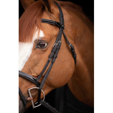 Birdon Oxford Performance Pénélope Schwarz Birdon Oxford Performance Pénélope Schwarz