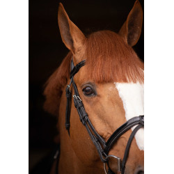 Birdon Oxford Performance Pénélope Schwarz Birdon Oxford Performance Pénélope Schwarz