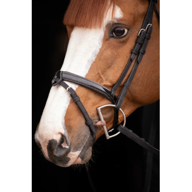 Birdon Oxford Performance Pénélope Schwarz Birdon Oxford Performance Pénélope Schwarz