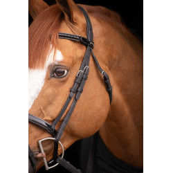 Birdon Oxford Performance Pénélope Schwarz Birdon Oxford Performance Pénélope Schwarz