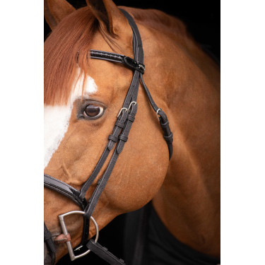 Birdon Oxford Performance Pénélope Schwarz Birdon Oxford Performance Pénélope Schwarz