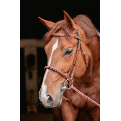 Bridon Hunter US Pénélope Haselnuss / Havanna Bridon Hunter US Pénélope Haselnuss / Havanna