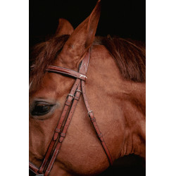 Bridon Hunter US Pénélope Haselnuss / Havanna Bridon Hunter US Pénélope Haselnuss / Havanna