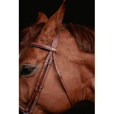 Bridon Hunter US Pénélope Haselnuss / Havanna Bridon Hunter US Pénélope Haselnuss / Havanna