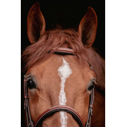 Bridon Hunter US Pénélope Haselnuss / Havanna Bridon Hunter US Pénélope Haselnuss / Havanna