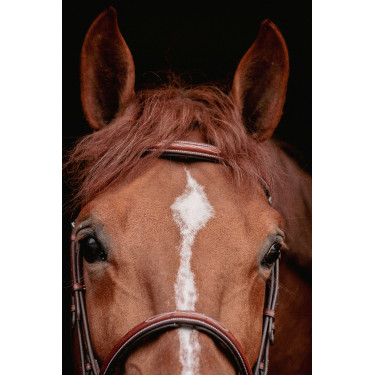 Bridon Hunter US Pénélope Haselnuss / Havanna Bridon Hunter US Pénélope Haselnuss / Havanna