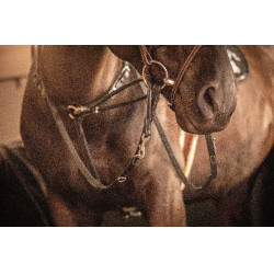 Pénélope Howlett Lederzügel Schwarz