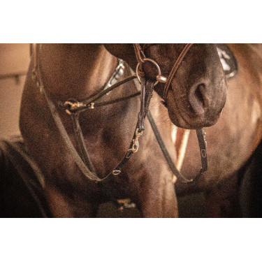 Pénélope Howlett Lederzügel Schwarz Pénélope Howlett Lederzügel Schwarz