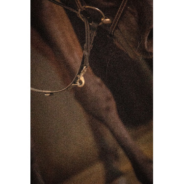 Pénélope Howlett Lederzügel Schwarz Pénélope Howlett Lederzügel Schwarz