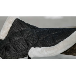 Equithème Pro Air Stoßdämpfer Schwarz Equithème Pro Air Stoßdämpfer Schwarz