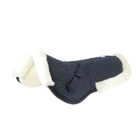 Equithème Pro Air Stoßdämpfer Schwarz