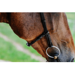 Bridon Freedom Norton Schwarz Bridon Freedom Norton Schwarz